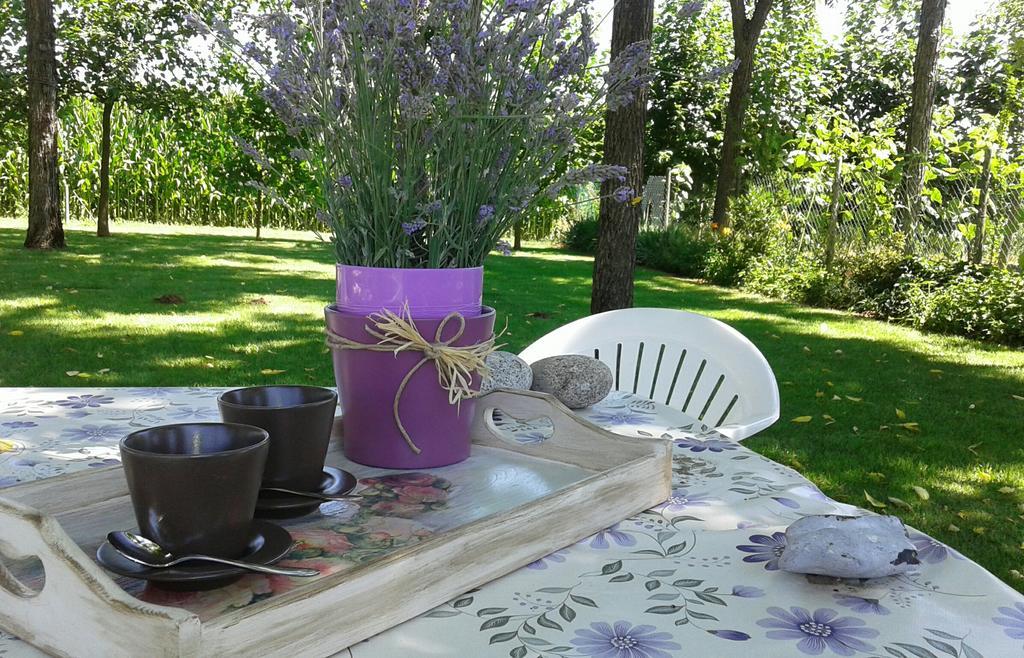 B&B Borgo Arcadia Poiana Maggiore エクステリア 写真